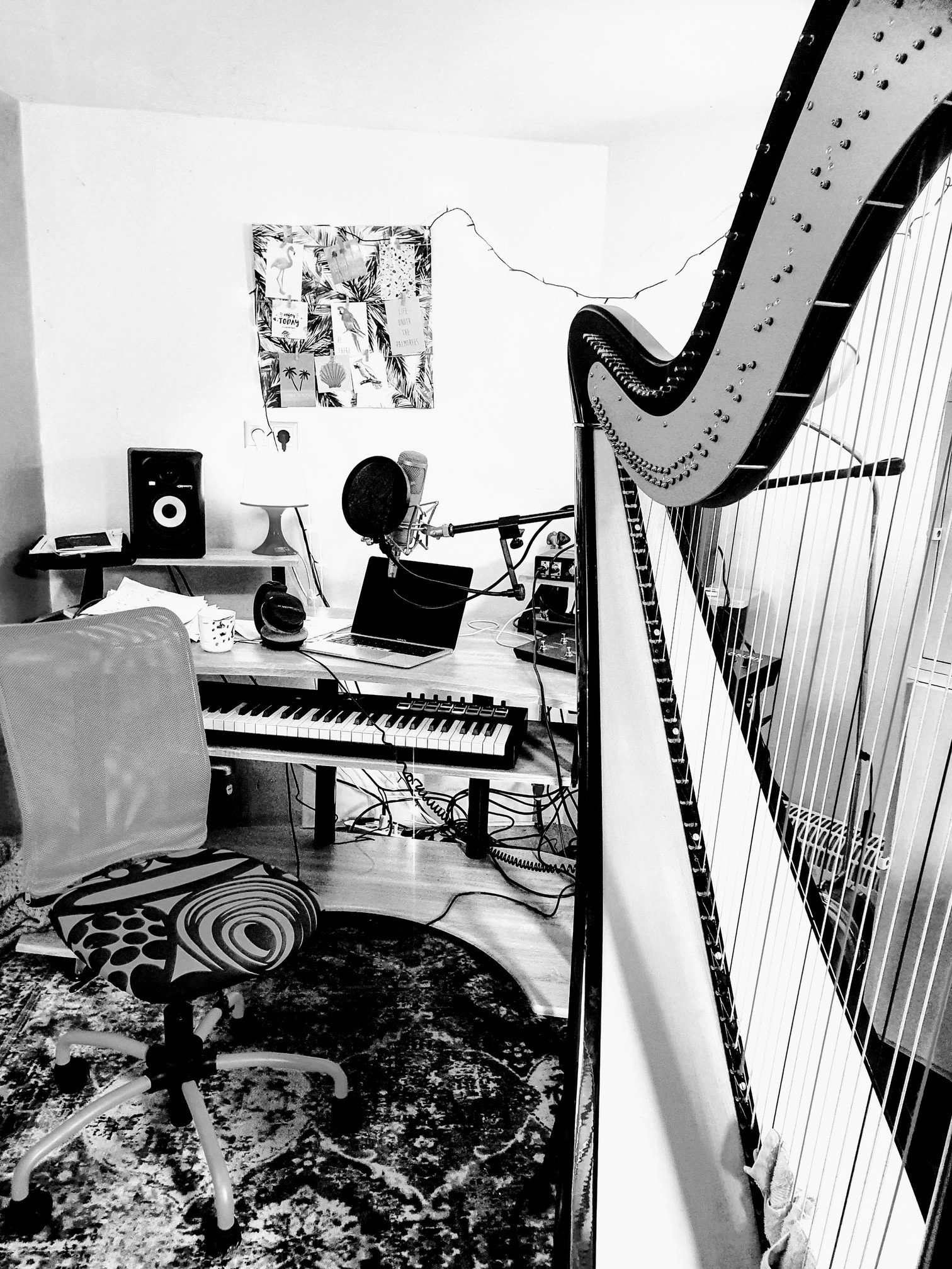 harpstudio2.jpg